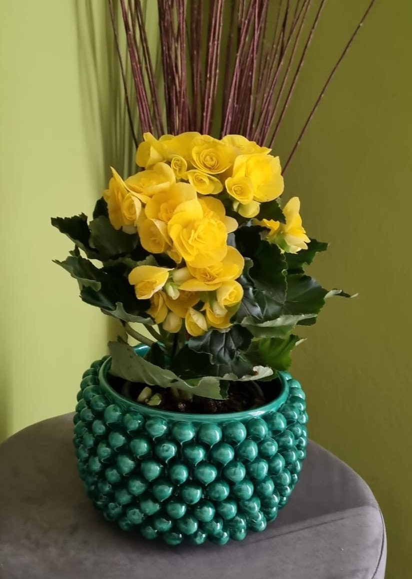Splendido vaso a forma di Pigna di Caltagirone 22/23 dia